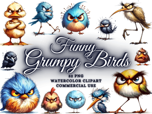 Download Funny Grumpy Bird Clipart Funny Bird Png - Funny Collection